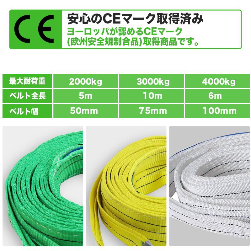 ナイロンスリング 明大マックスリング 100x4m (4t) ナイロンスリング