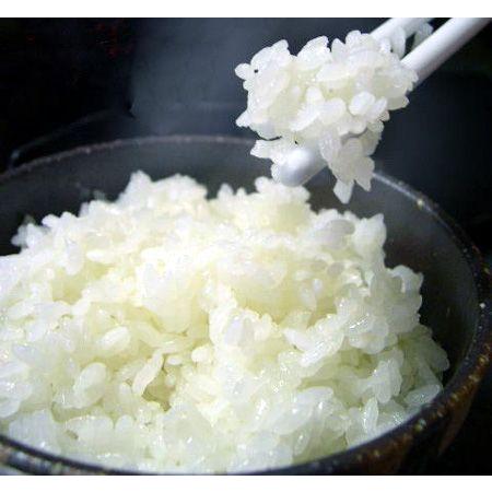 伊賀米 コシヒカリ 玄米10kg　【精米無料】【送料無料】｜tu-lifu