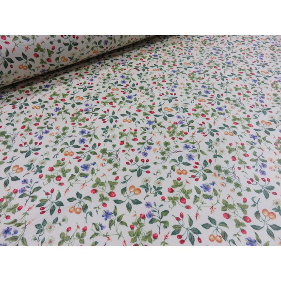 ラミネート 小さなベリーたち レッド ツイル生地 安い おしゃれ 布地 かわいい 生地 入園 ビニール コーティング Lkts4849 A 布と手芸 つばめや 通販 Yahoo ショッピング