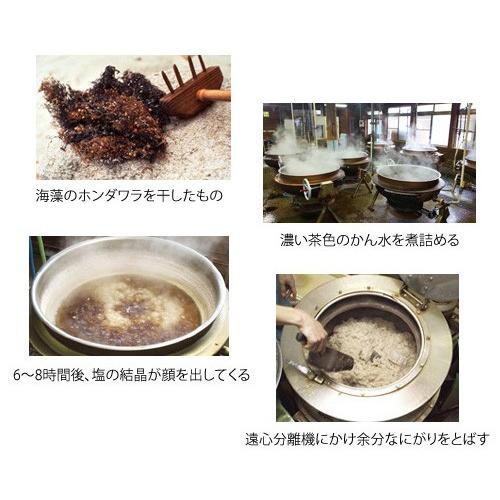 海人の藻塩 スタンドパック 100g 食塩 あまびとのもしお 送料無料