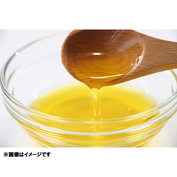 有機亜麻仁油 230ml×2本セット 常温便 Gaffney's selection OMEGA Oils