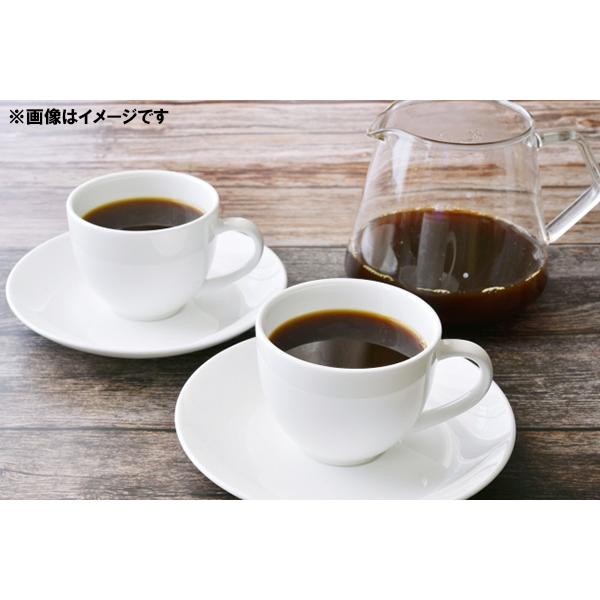 カフェピロン CAFE PILAO トラディショナル 500g レギュラーコーヒー