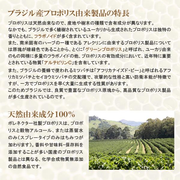 ポレネクター社製 プロポリス ワックスフリー 80% 30ml 送料無料 