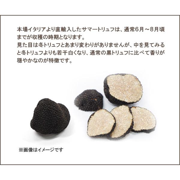 インターフレッシュ サマートリュフ ホール（黒トリュフ）瓶 18g