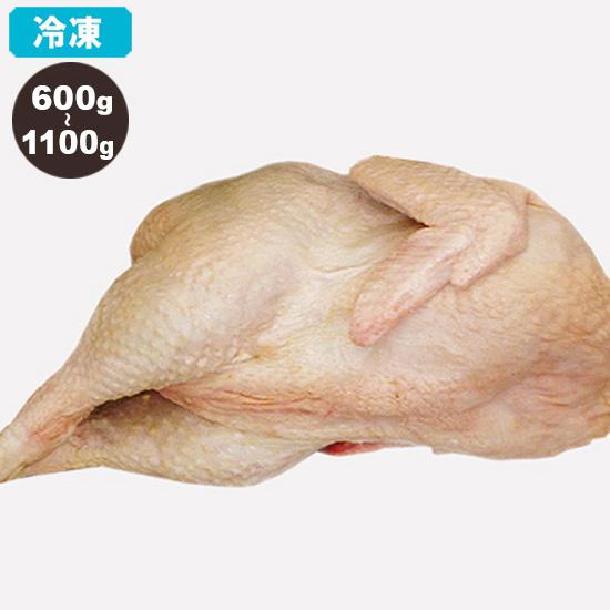 冷凍 廃鶏 (ハイケイ・採卵期間を終えた雌鶏) 600g〜1100g 中抜き 丸鶏