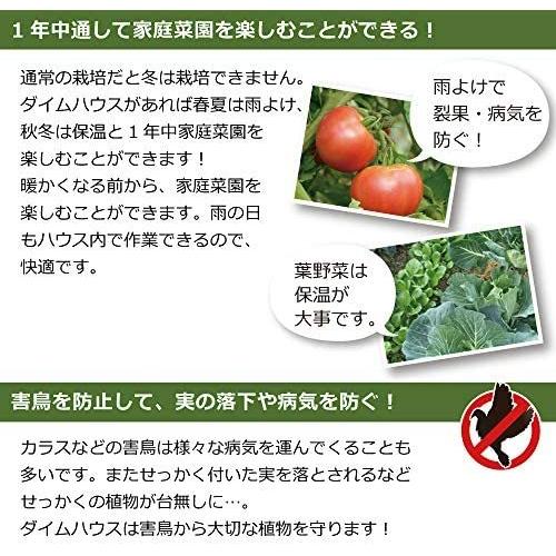 受賞店舗 Daim 家庭菜園用ビニールハウス 1坪用 2坪用 3坪用 ミニハウス 菜園ハウス 家庭用 家庭菜園 雨よけ 風よけ 保温 1坪 1坪 激安特価 Www Gettoknowmontco Com
