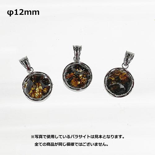 TENKAPAS ケニア産 セイムチャン隕石 パラサイト ペンダント 12mm