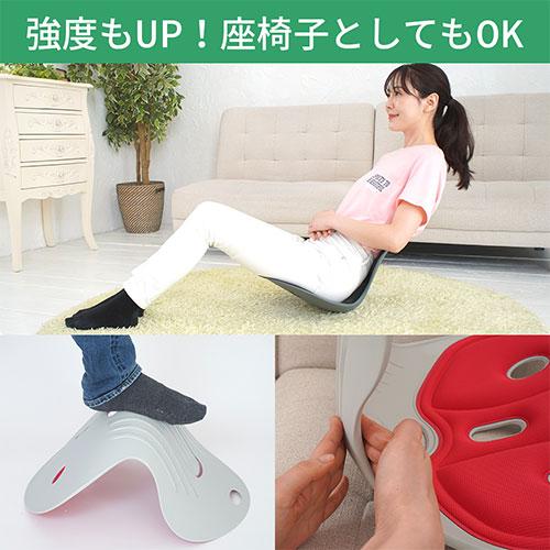 DCT 改良型・天使の椅子プレミアム 姿勢矯正・骨盤チェア 噂の美姿勢サポート 腰や背中を包み込む レッド DCT-R1000_4
