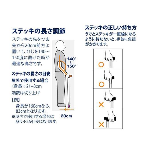 フジホーム 伸縮ステッキ 杖 ウィリアムモリスステッキ 思いを伝える
