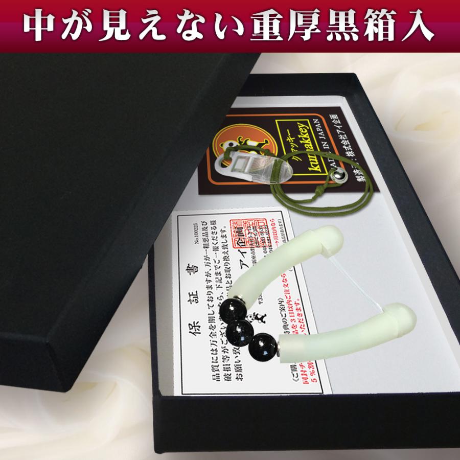 追加商品 青島文化教材社 1/12 完成品バイク KAWASAKI Ninja ZX-25R