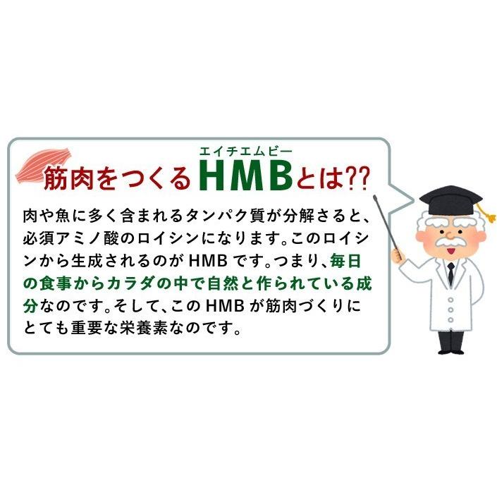 HMBシニア 機能性表示食品 送料無料 HMB1,200ｍｇ配合/日 180粒/約30日分｜tuhanhonpo｜04