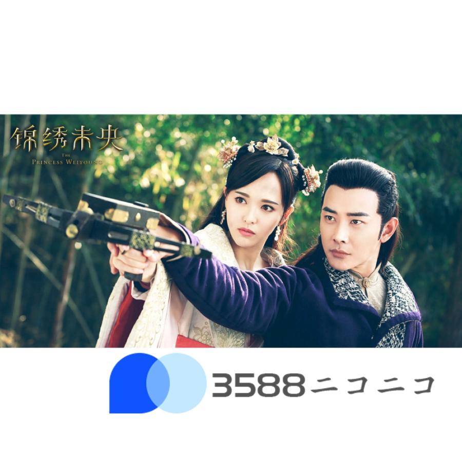 中国ドラマ「王女未央」中国版DVDルオジン主演！ 王女未央