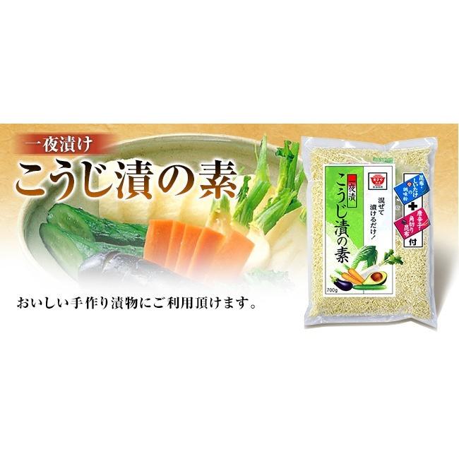 漬物と液体塩麹が出来る「漬エモン」＋麹漬けの素１個　滋賀県ご当地モール |  | 02