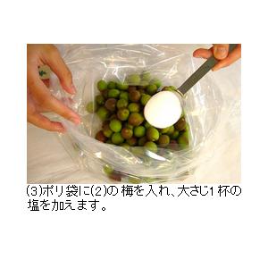 カリカリ梅の素 70ｇ （梅500ｇ用） × 3袋 メール便 送料無料 かりかり梅 カリカリ梅 青梅 小梅 梅干し 梅漬け コーセーフーズ こうじや里村 コミローナ｜tukeru-shopping｜07