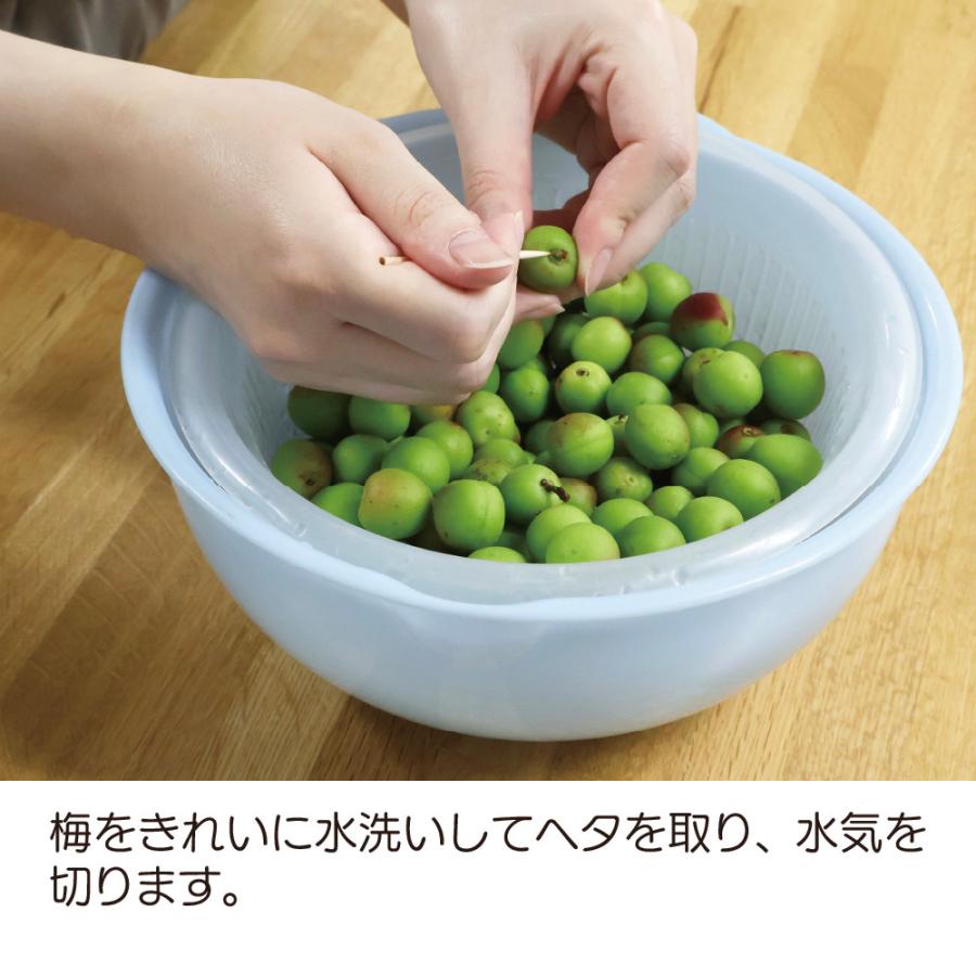 カリカリ梅の素 70g （梅500g用） メール便 かりかり梅