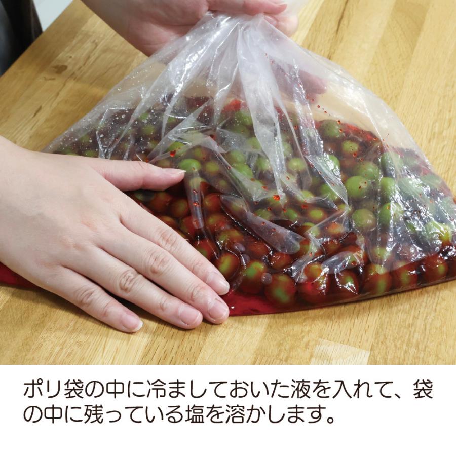 カリカリ梅の素 70g （梅500g用） メール便 かりかり梅 カリカリ梅