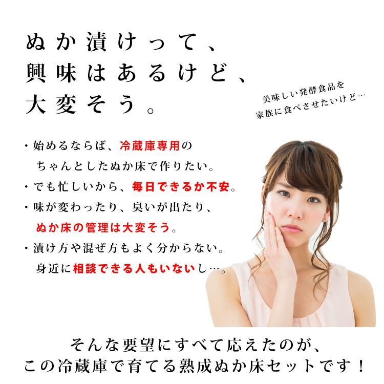 冷蔵庫で育てる熟成ぬか床 コンパクト容器付セット 送料無料 Reizoukonuka Compact Set 甘酒 米麹 ぬか床のこうじや里村 通販 Yahoo ショッピング