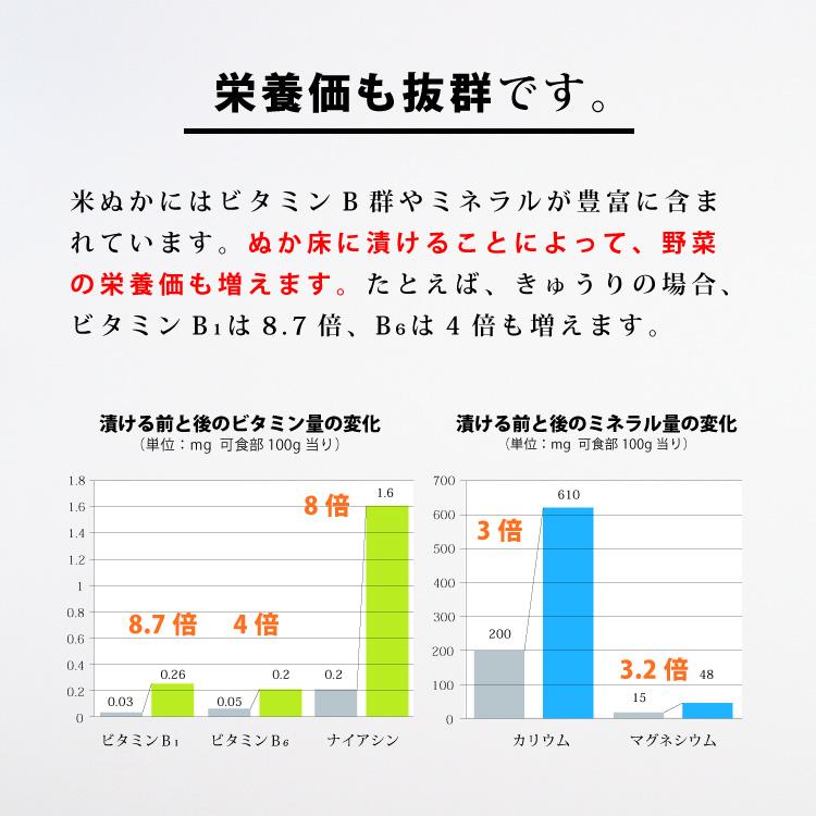 ぬか床 冷蔵庫で育てる 熟成ぬか床 800g スタートセット 糠床 糠漬け ガイドブック レシピ付き おすすめ ぬか ぬか漬け ぬかどこ こうじや里村｜tukeru-shopping｜16