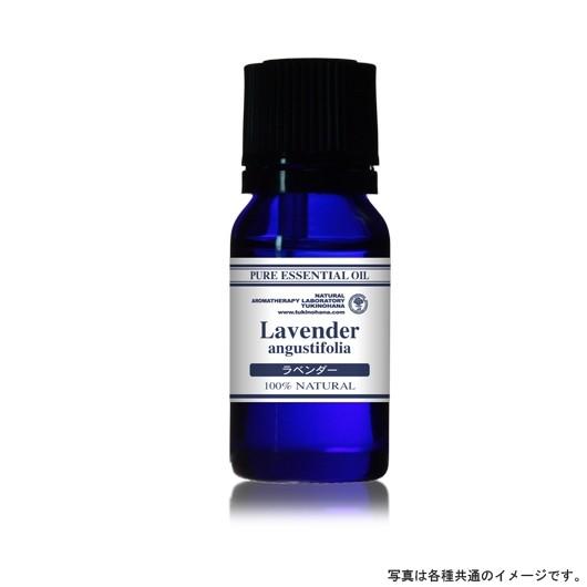 圧倒的人気 【即日発送】  【MEB2OSS8GQ7】 限定デザイン