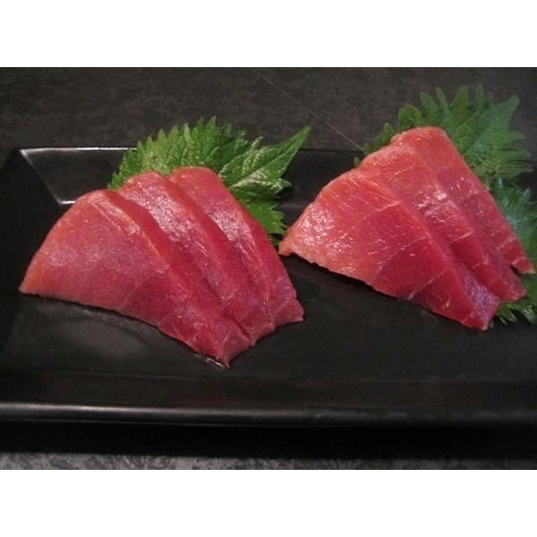 天然マグロのトロブツ とろける中トロのぶつ切り : 築地まぐろ問屋