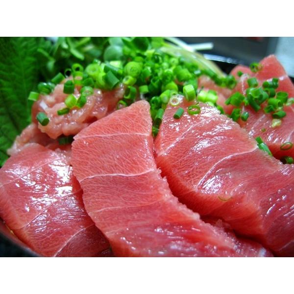 特選めばち鮪中トロ・赤身と上ネギトロセット : 築地まぐろ問屋