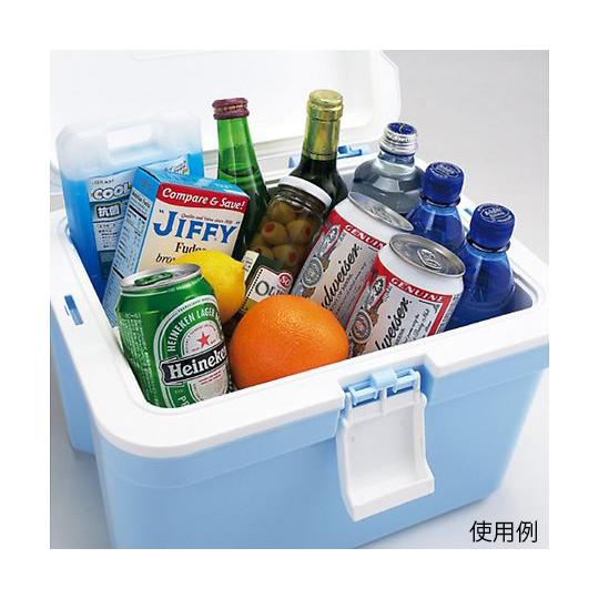 格安 価格でご提供いたしますクーラーボックス 14L JEJアステージ 医療