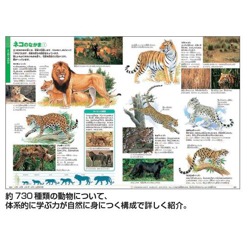 小学館の図鑑NEO （1）[新版]動物 小学館 NEOドウブツ 教育施設限定商品 ed 140781｜tukishimado5｜02