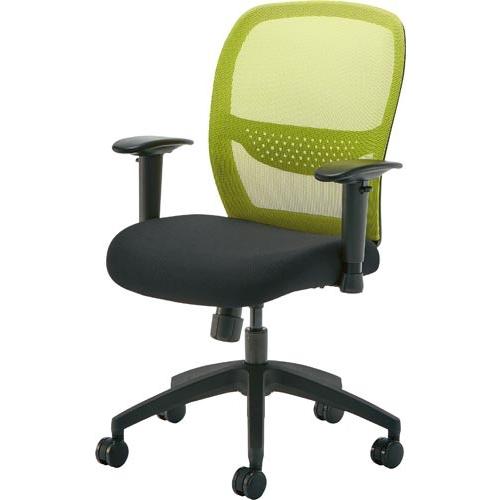 ◇ルーナメッシュ２　肘付　グリーン Ｚ−ＴＣＲ２５１−ＧＮ　 送料・組立・設置が無料 ＣＬＯＶＥ 42786603 4278-6603