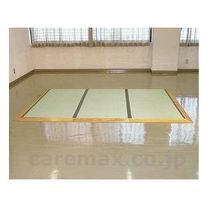 ユニットたたみさわやか　三畳三面スロープ付 / T-TS3-3　純木仕様 トマト 取寄品 JAN 4515177823308　介護福祉用具