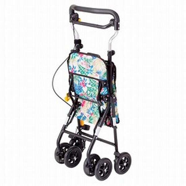 ライトステップタイニーWヌーボー・レガロ ウィズワン シルバーカー