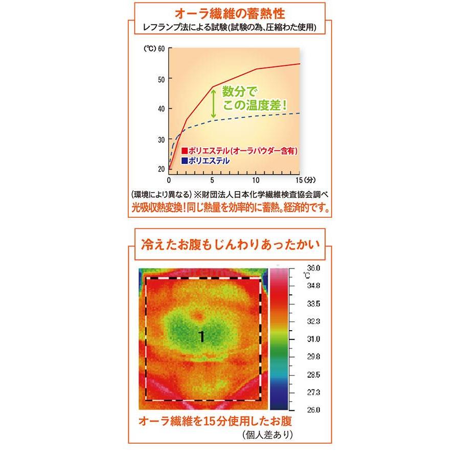 リラクゼーション　温冷具 オーラ岩盤アイマスク極 fp20i002　グレー  取寄品 JAN 4985037145688　介護福祉用具｜tukishimado5｜03