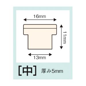 エコガチャック 中  オート GS-500E 教育施設限定商品 ed 111866｜tukishimado｜02