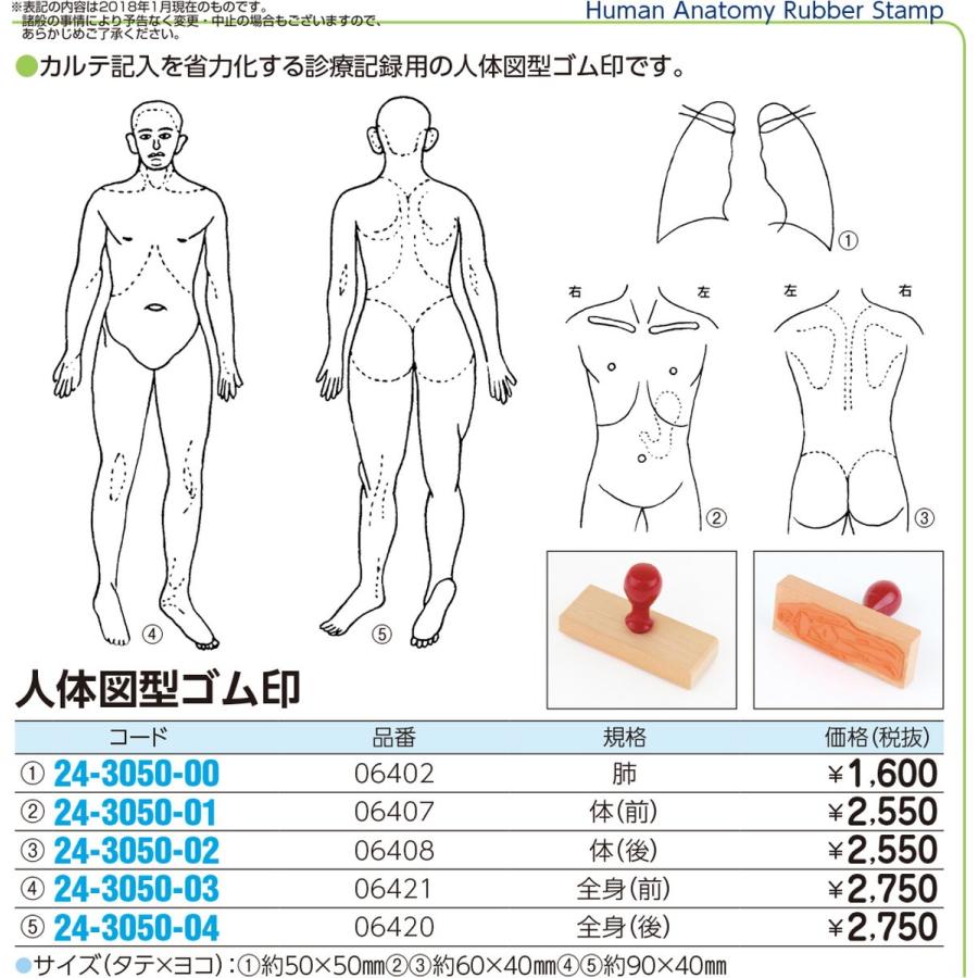 人体図型ゴム印 肺 24 3050 00 1入り My24 3050 00 文具の月島堂 通販 Yahoo ショッピング