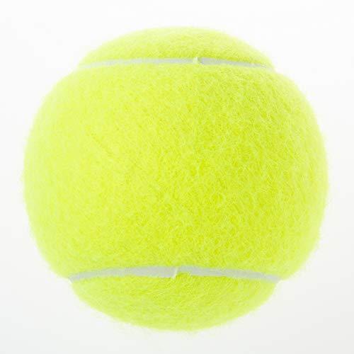 初回限定 Wilson ウイルソン 硬式テニスボール ノンプレッシャーボール トレーナー 72個 専用バケツカゴ Wrt1310 ウィルソ 驚きの安さ Www Shandilyaz Com