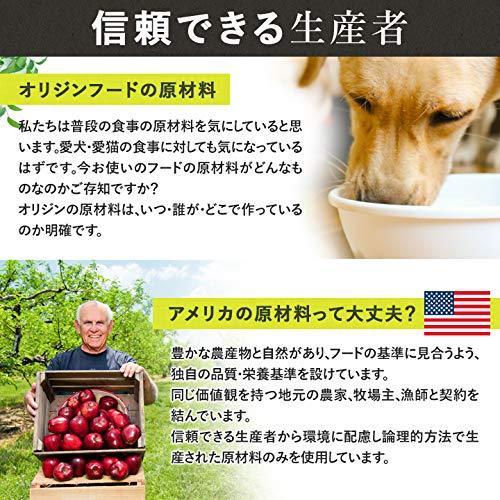 最安値に挑戦 Orijen オリジン キャットフード 6フィッシュキャット 5 45kg 大注目 Www Maxipiso Com Ar