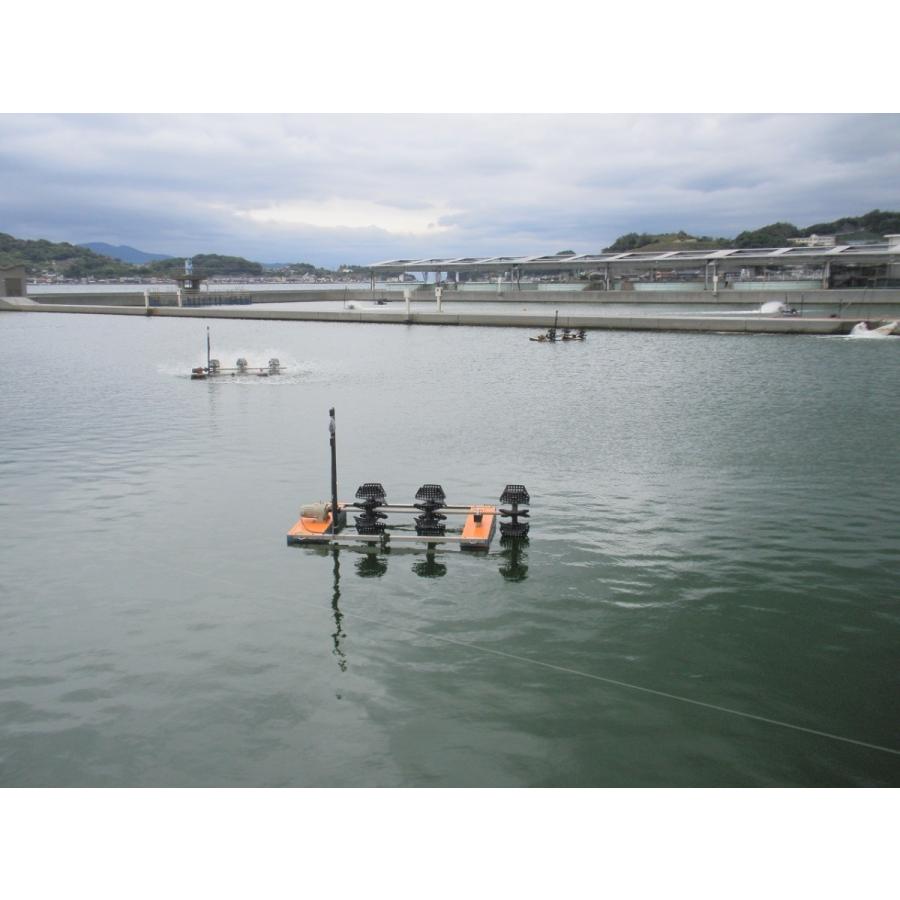 お歳暮 活き車海老500g（12〜18尾前後）車海老 山世水産 プリプリ チャーミング 秋穂 ギフト 山世水産｜tukurite｜04