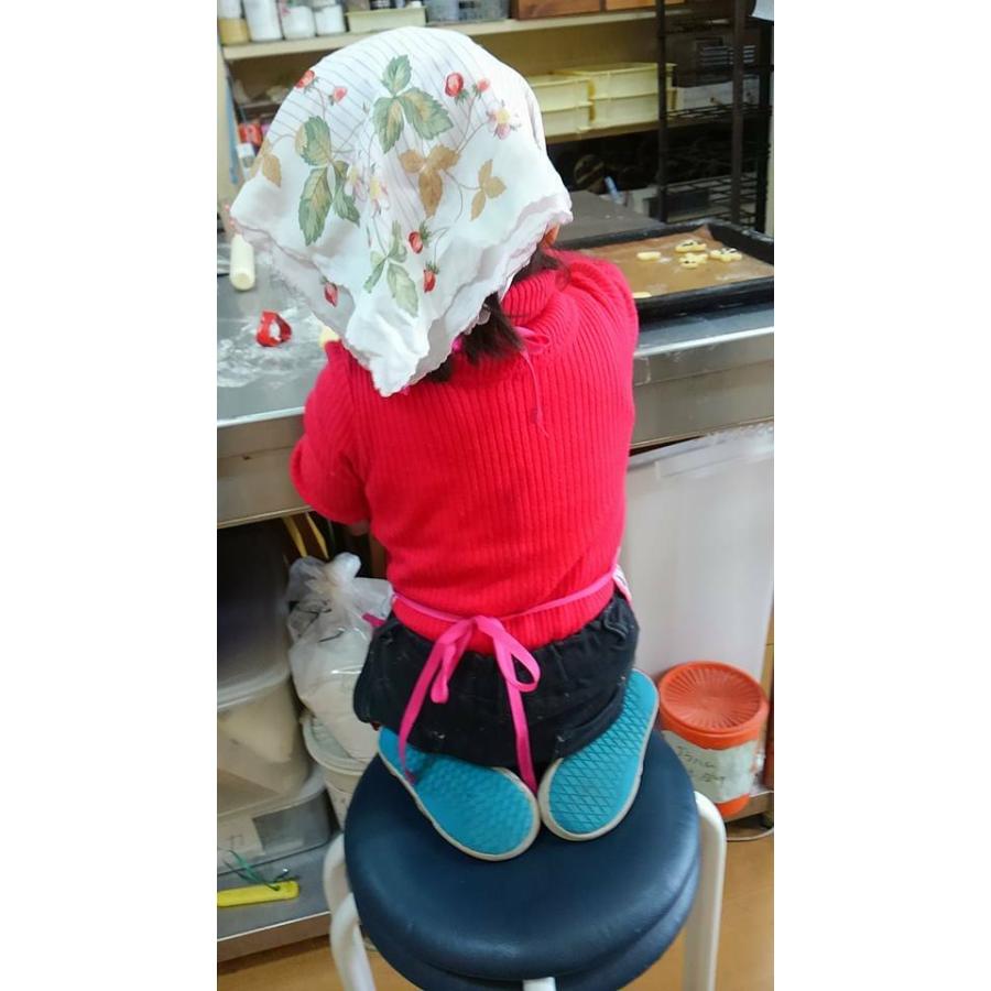 バレンタインデー 選べる4本！切って焼くだけ雑穀とナッツのクッキー生地 クッキー 手作り キット お菓子作り 冷凍生地 簡単 焼き菓子 おうち時間 卵不使用 |  | 02