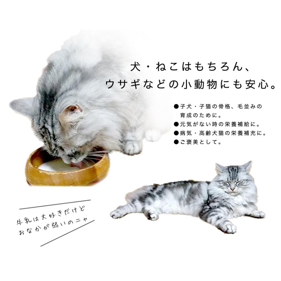 ペット ペット用 ヤギ100％ミルク200ml×10本セット ペットミルク