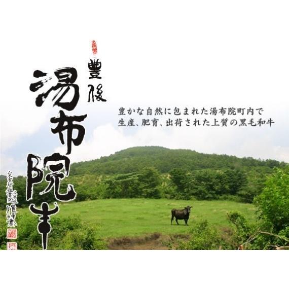 父の日 入学祝 卒業祝 お中元 お歳暮 湯布院牛ももすき焼き用600g すき焼き もも肉 黒毛和牛 豊後牛 | 豊後牛 | 01