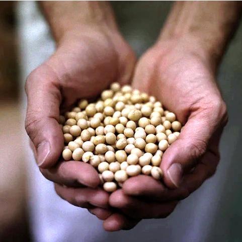 母の日 お中元 お歳暮 まぼろしの厚揚げと練豆腐セット 大豆の旨味 厚