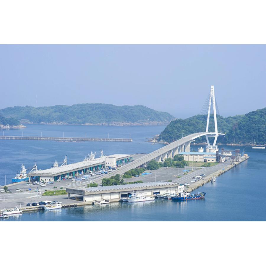 お中元 干物 浜田三魚干物セットB 島根県 浜田漁港 のどぐろ まあじ エテカレイ 浜田漁港3魚 酒の肴 ご飯のお供 シーライフ |  | 04