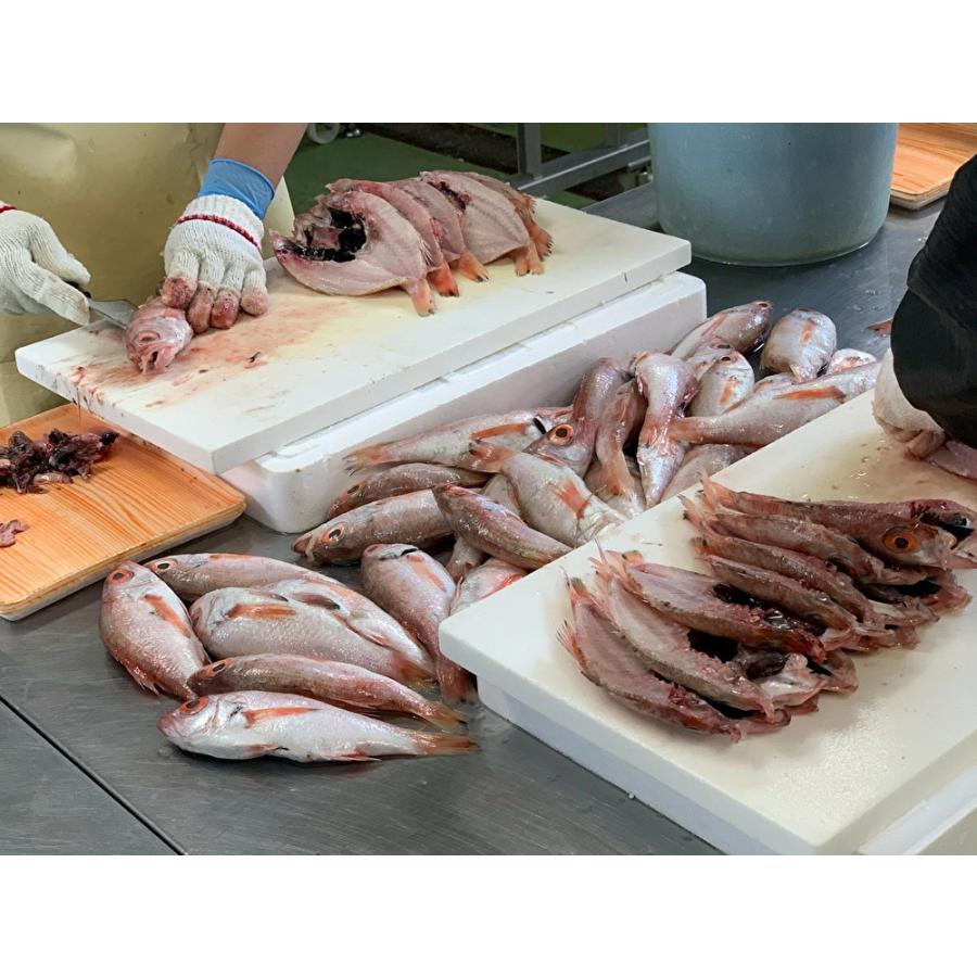 お中元 干物 のどぐろ干物セット （小） のどぐろ アカムツ 日本海 浜田漁港 酒の肴 ご飯のお供 シーライフ |  | 02
