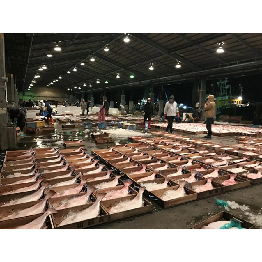 お中元 干物 浜田港ライフセット（亀） 島根県 浜田漁港 のどぐろ まあじ 剣先イカ 酒の肴 ご飯のお供 シーライフ 旨味 |  | 05
