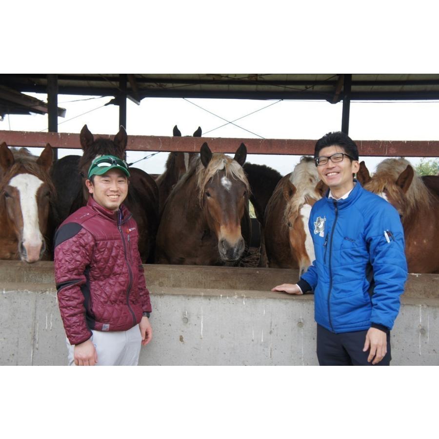 父の日 ふじ馬刺し赤身霜降り食べ比べセット 馬刺し 食べ比べ 上赤身 中トロ お中元 お歳暮 父の日 精力 元気 赤身 フジチク｜tukurite｜05