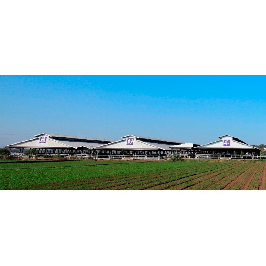 お歳暮 お中元 ふじ馬刺し上赤身2個セット 馬刺し 本場熊本 上赤身 父の日 精力 元気 赤身 フジチク |  | 05