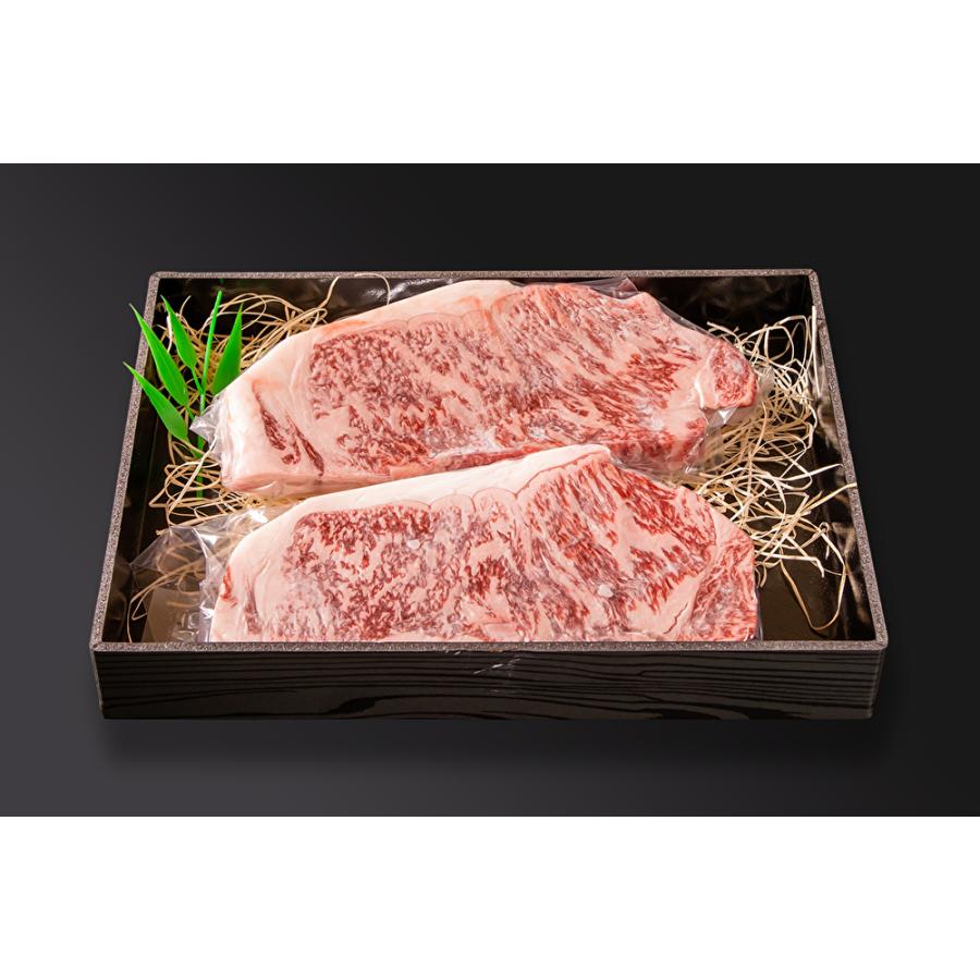 宮崎和牛齋藤牛サーロインステーキ250g 2枚 高級焼肉 和牛肉 網焼き 鉄板焼き 肉汁 q お中元 お歳暮 お取り寄せグルメ 宮崎県 霜降り 贅沢 最高級 105 5 つくり手 Com 通販 Yahoo ショッピング