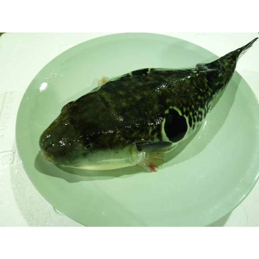 父の日 お中元 とらふく・まふぐの料理セット2人前 とらふく刺身 まふぐ唐揚げ 贅沢 とらふく |  | 01