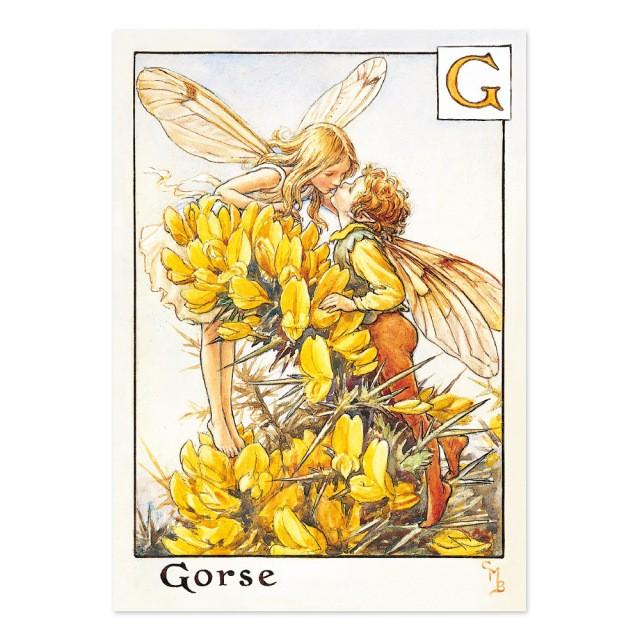 フラワーフェアリーズ ポストカード<Gorse Fairy>FF-026