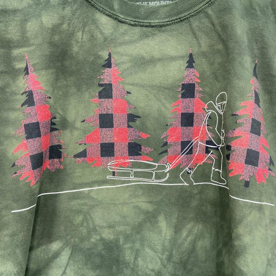 THE MOUNTAIN ザマウンテン 半袖プリントTシャツ タイダイ 緑 グリーン