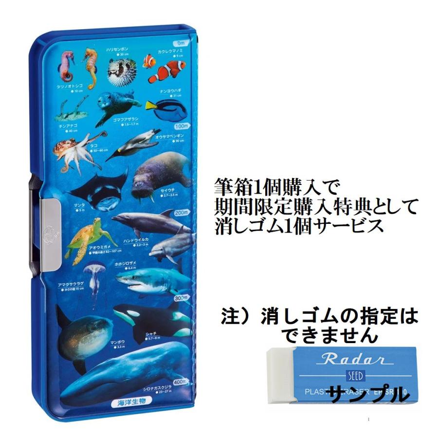 クツワ（KUTSUWA） ペンケース 筆箱 マグネット 2ドア 海洋生物 SF022
